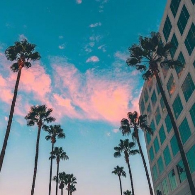 剑潋寒林12